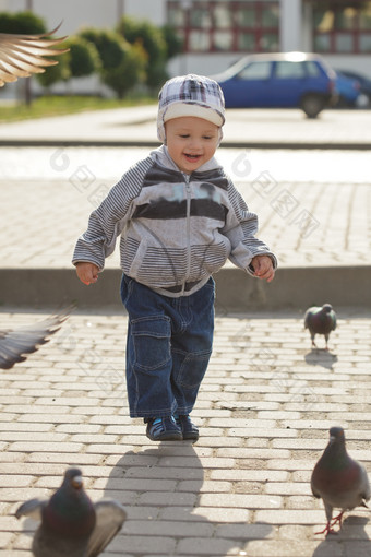 和鸽子玩耍的小男孩