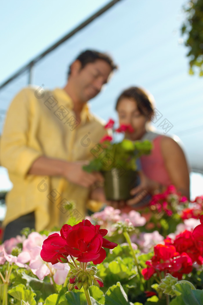 端着鲜花盆栽的夫妻摄影图