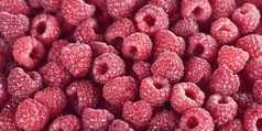 新鲜的红莓水果摄影图