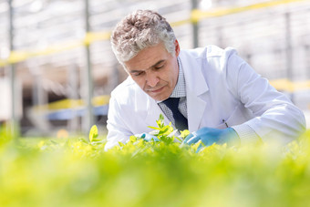 清新植物<strong>研究人员</strong>摄影图