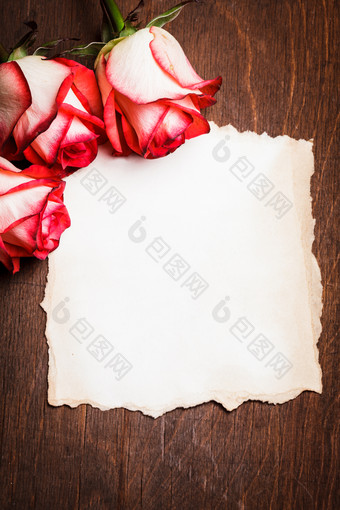 纸边的玫瑰花摄影图
