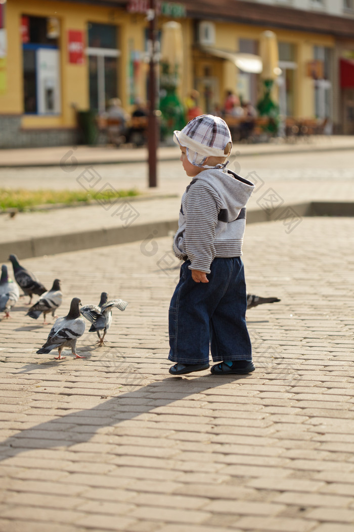 小男孩和鸽子摄影图