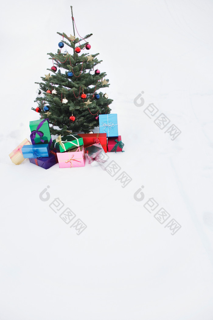 简约一个小圣诞树摄影图