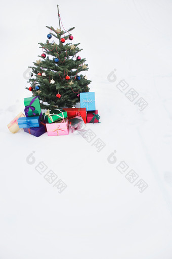 简约一个小圣诞树<strong>摄影图</strong>