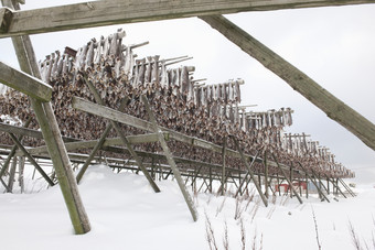 雪地上搭建的木架