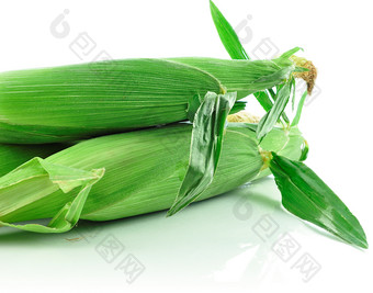 绿色调新鲜玉米摄影图