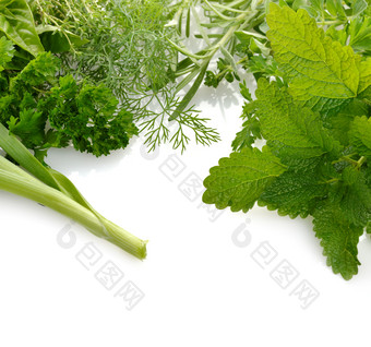 绿色蔬菜叶摄影图