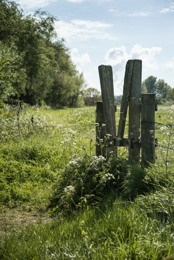 草地上的木头围栏