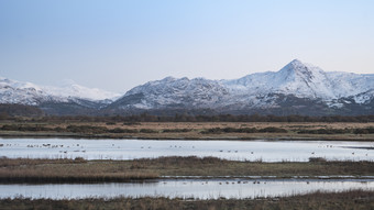 冬季山峰和<strong>草地摄影图</strong>