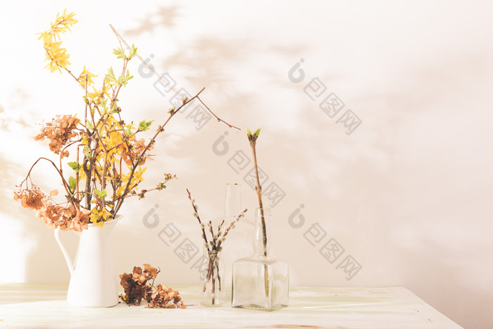 花瓶里新鲜的植物摄影图