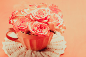 漂亮杯子里的玫瑰花