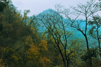 暗色调山林的美景摄影图
