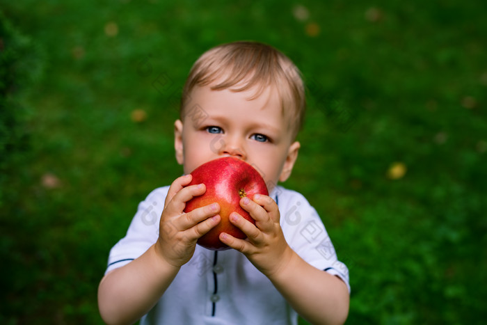 绿色调吃苹果的孩子摄影图