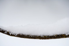 暗色调树枝上的雪摄影图