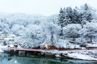 浅色调美丽雪景摄影图