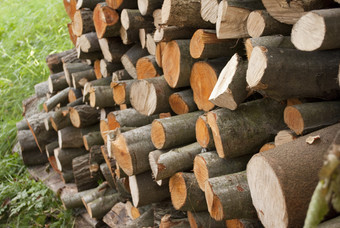 堆积的木头木柴木料