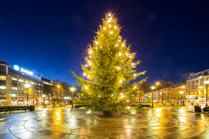 城市夜景中的圣诞树