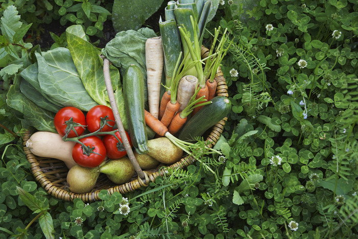 绿色调一篮子蔬菜摄影图