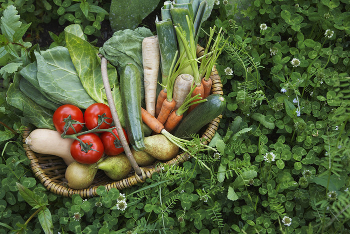 绿色调一篮子蔬菜摄影图
