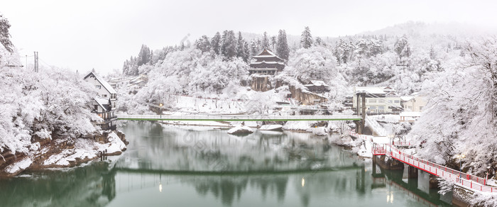 灰色调雪后美景摄影图