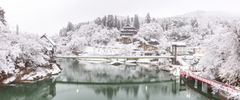 灰色调雪后美景摄影图