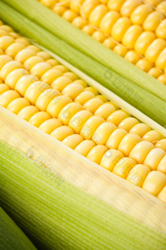 玉米上的颗粒摄影图