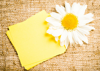 麻布上的彩色卡纸和白雏菊