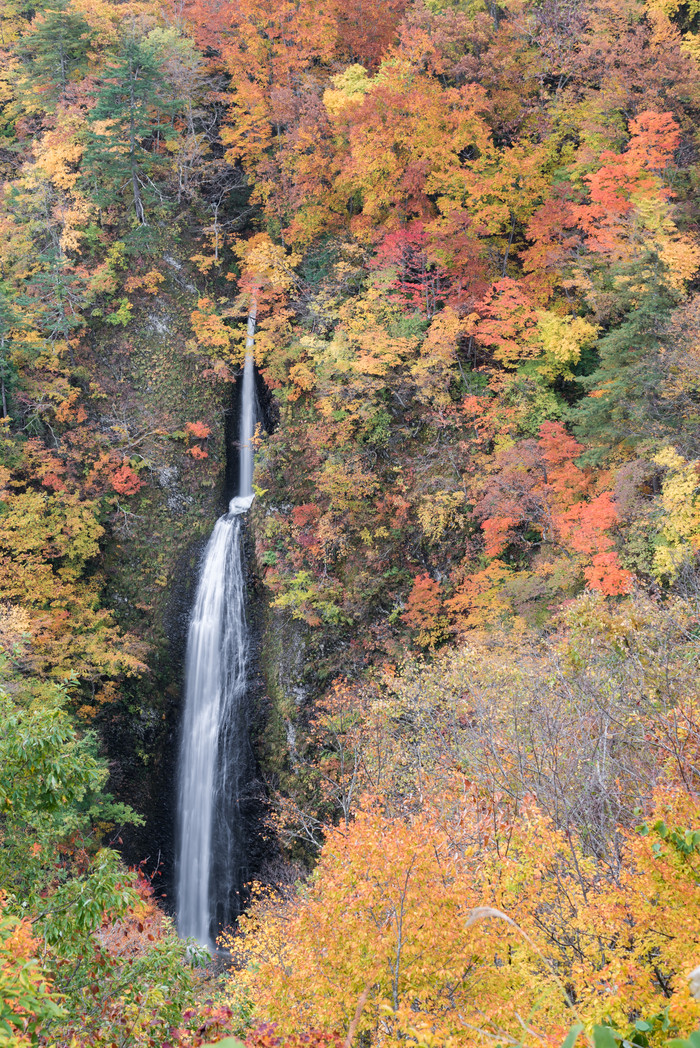 秋天山林瀑布风景图片