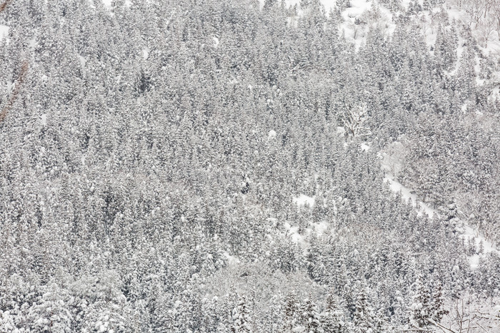 冬天山峰森林元素