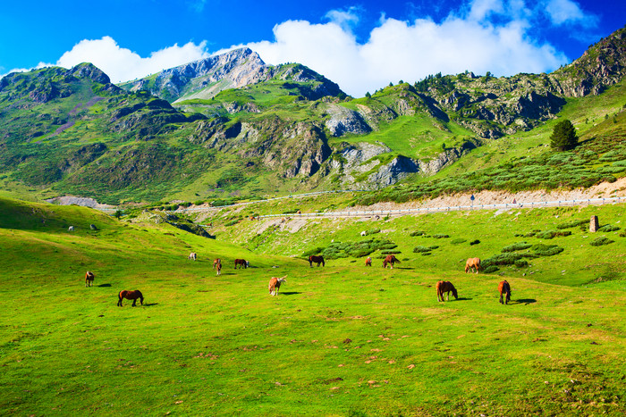 绿色调山区好景摄影图