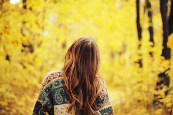 秋季黄色树林中美女背影