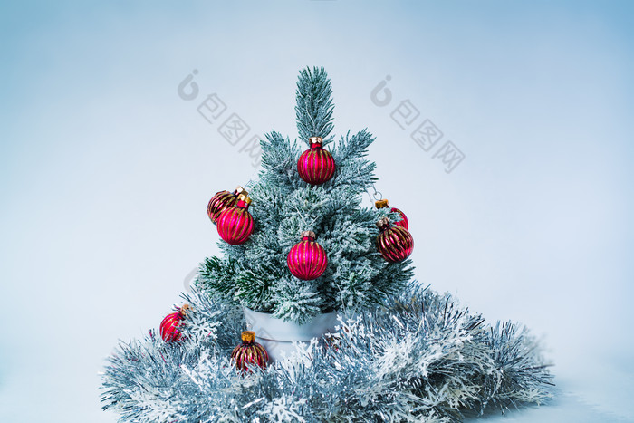蓝色调小圣诞树摄影图