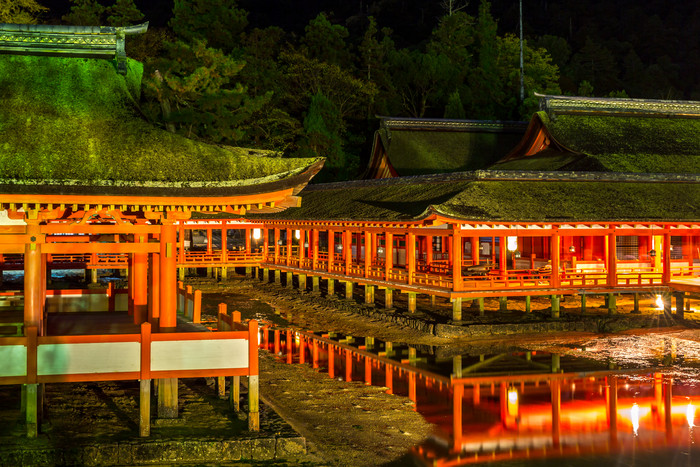 神社鸟居夜景摄影图