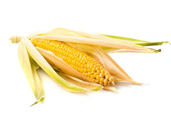 成熟的玉米果实摄影图