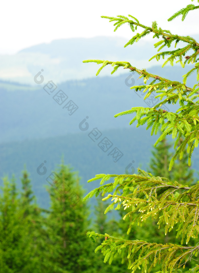 大自然山峰樹木風景