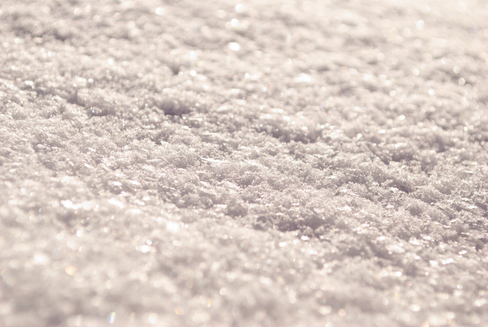 冬季雪景结霜摄影图