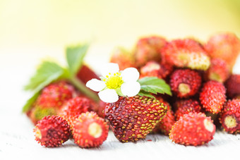 清新风新鲜草莓摄影图