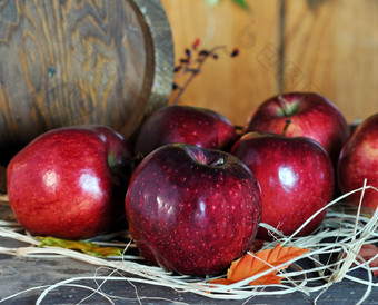 暗色调成熟红苹果摄影图
