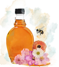 清新香甜蜂蜜摄影图