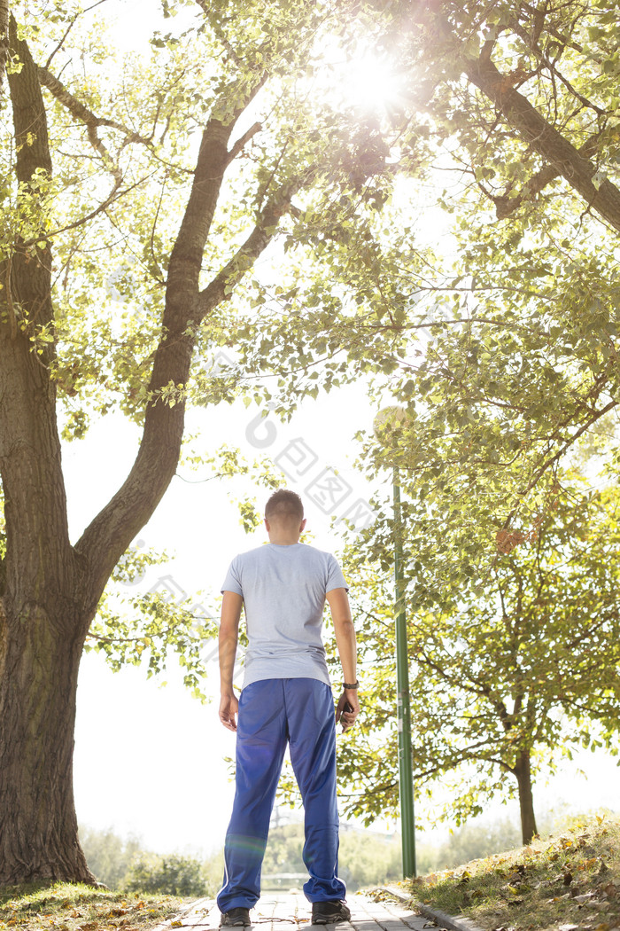 树林小路上男人背影