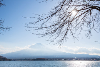 平静的湖面和枯树枝