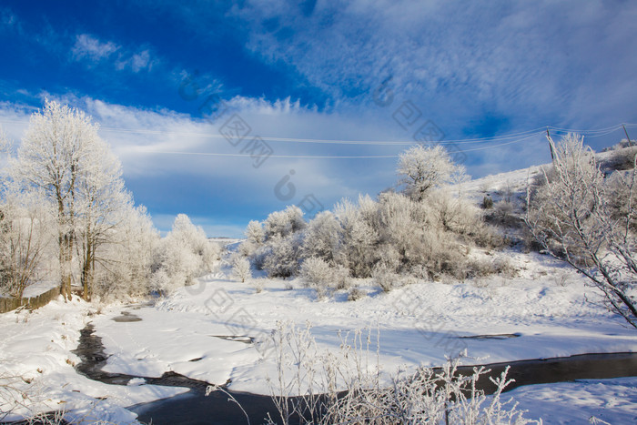 冬季山峰树木雪景