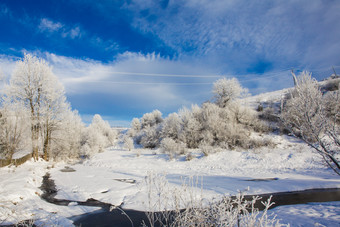 冬季山峰树木雪景