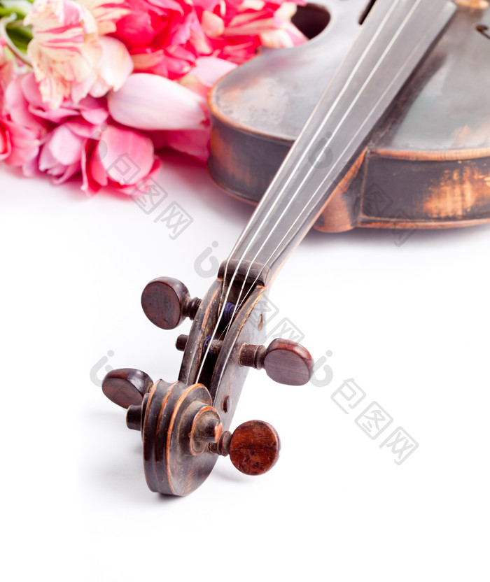 小提琴琴弦和花卉