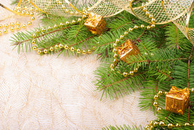 圣诞节装饰品松枝