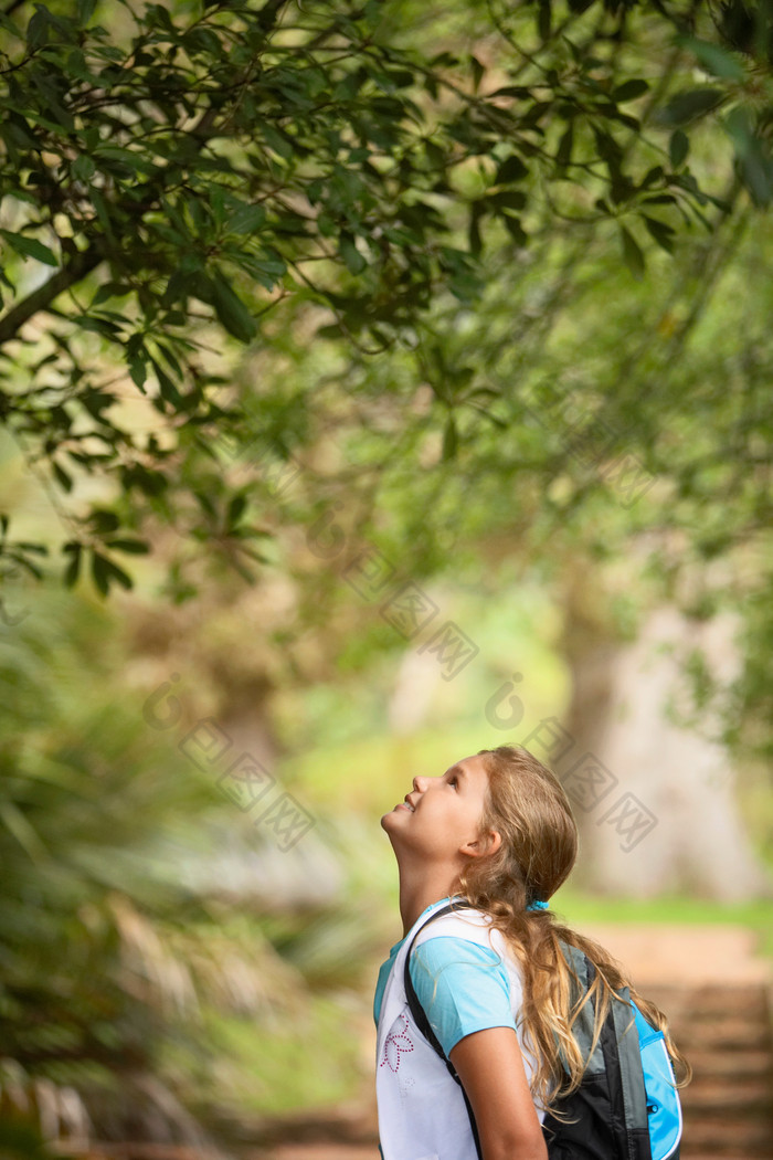 观察树叶的女孩摄影图