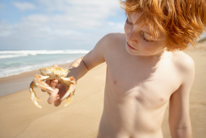 沙滩抓螃蟹的小男孩