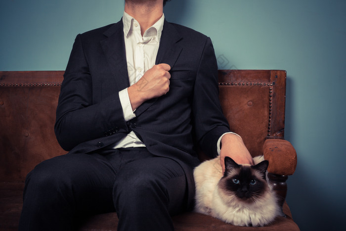 沙发上的商业男人和猫