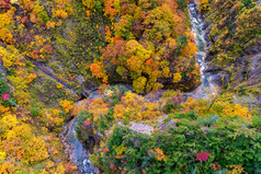 秋季枫树河流摄影图