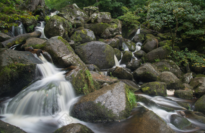山水画风景画风景摄影长满树林